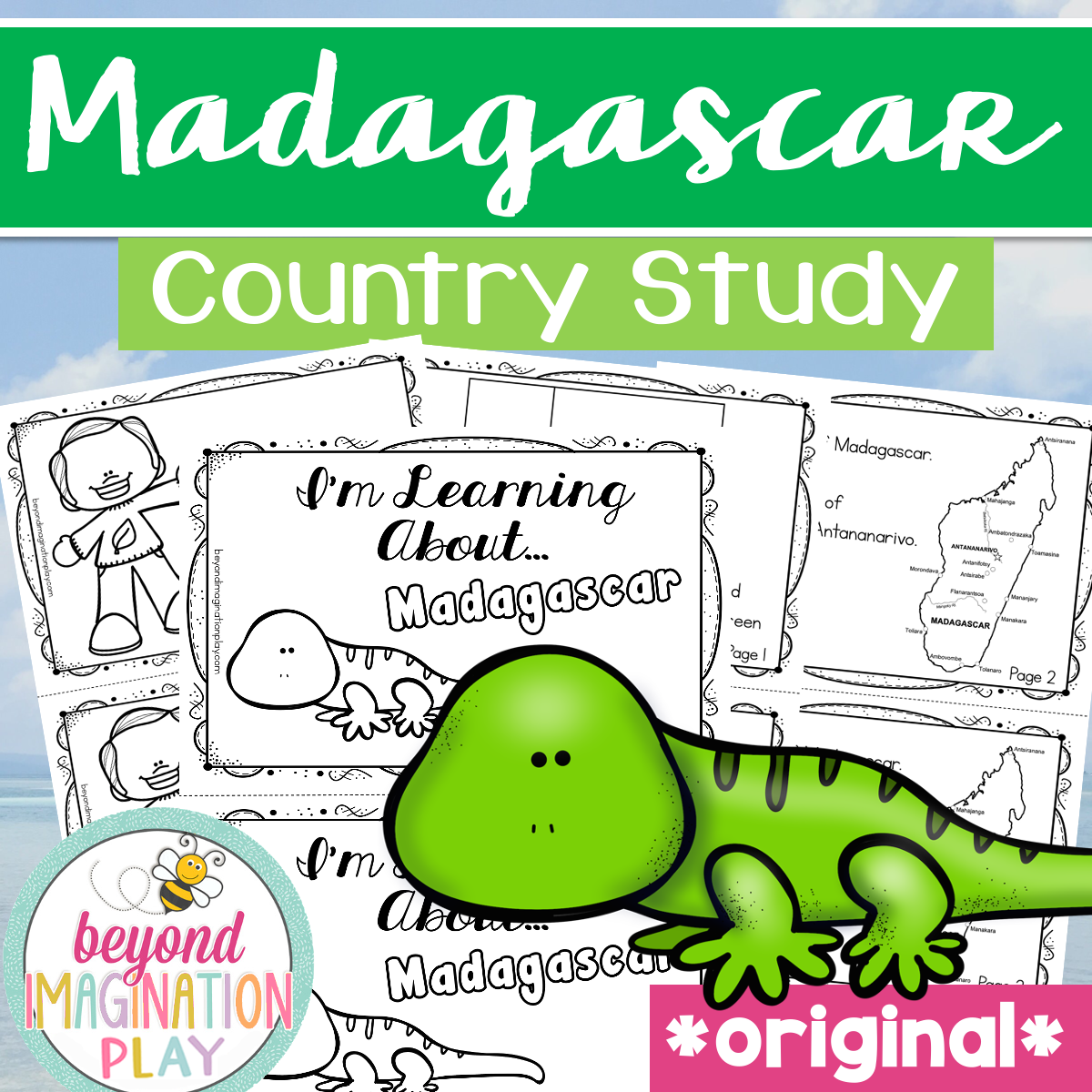 Madagascar Country Study