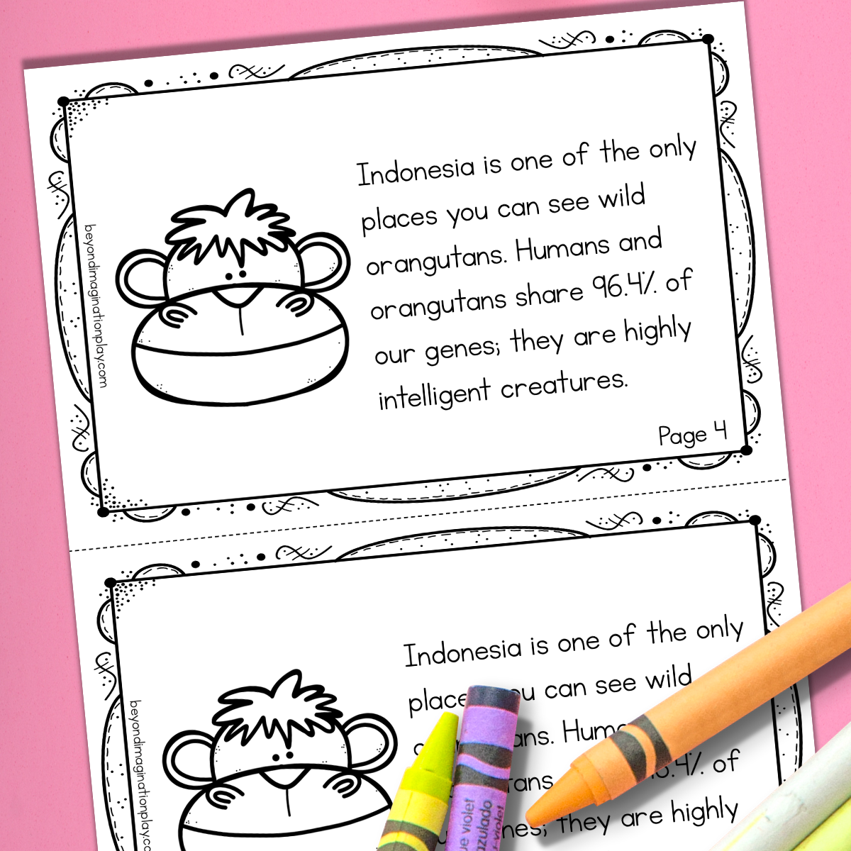 Indonesia Country Study Activity Pack
