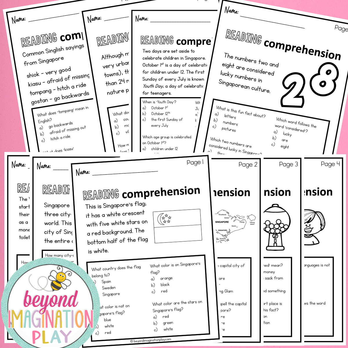 Singapore Country Study Activity Pack