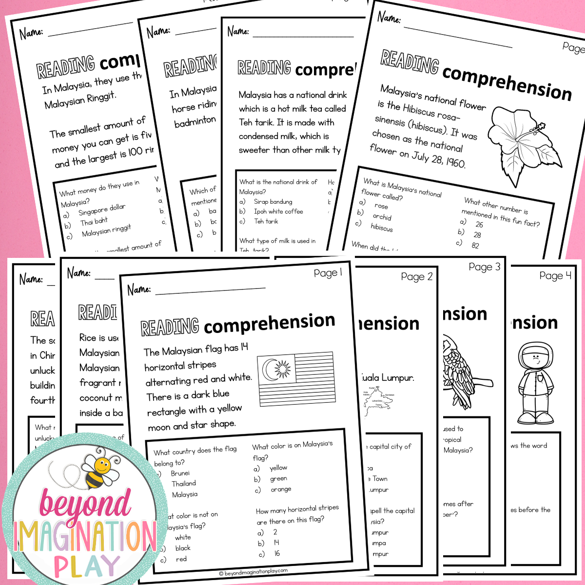 Malaysia Country Study Activity Pack