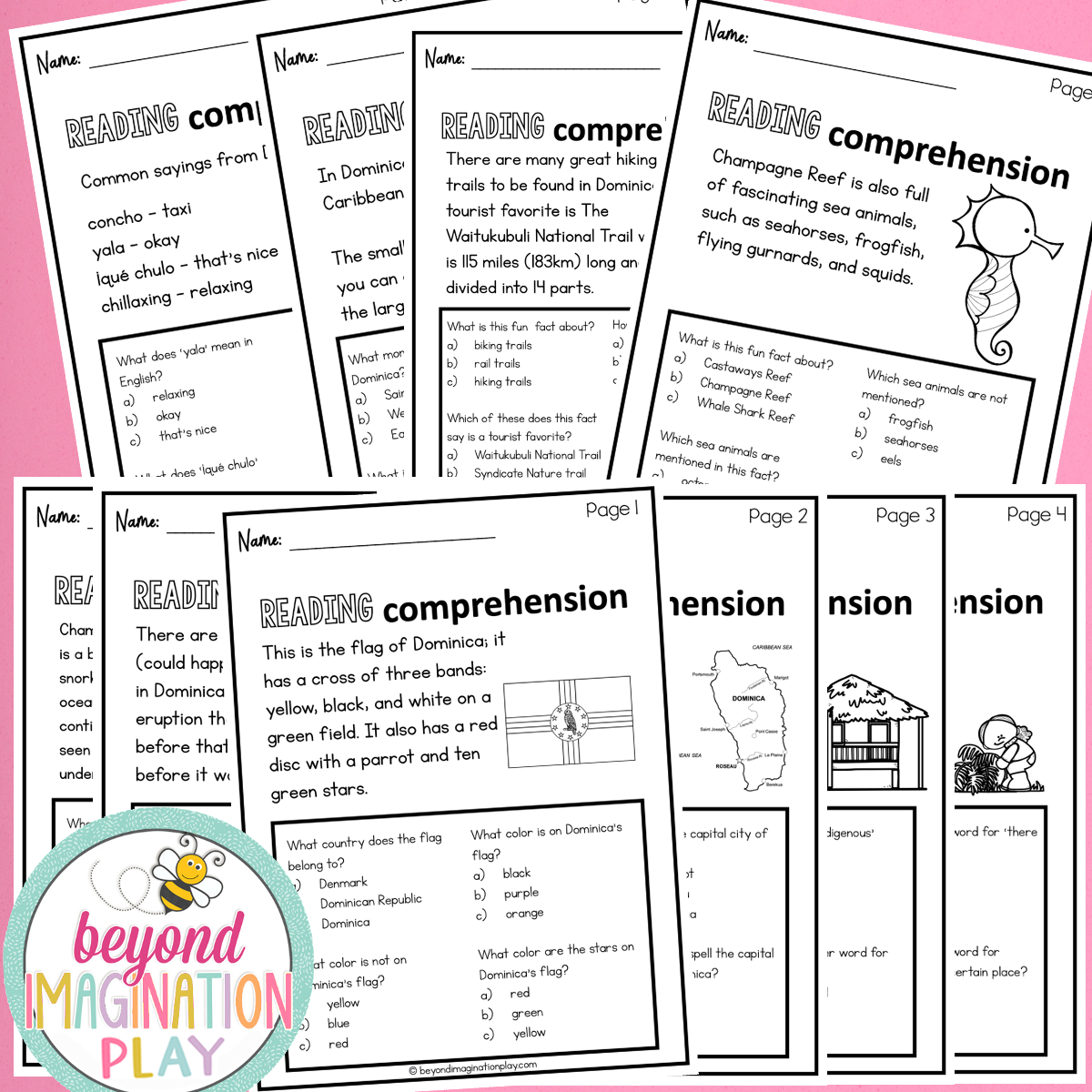 Dominica Country Study Activity Pack