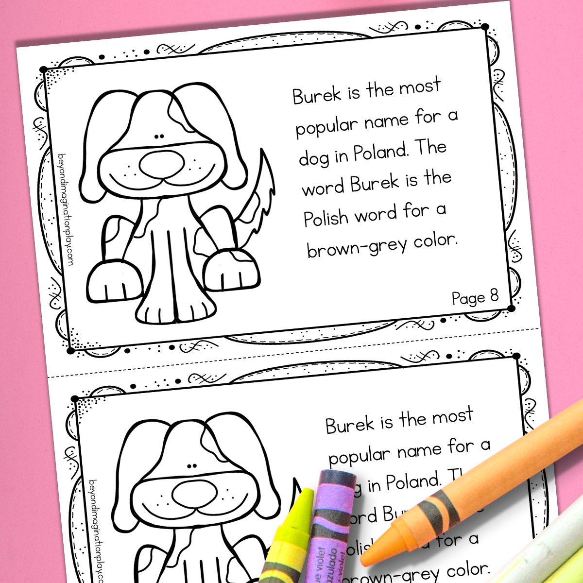 Poland Country Study Activity Pack