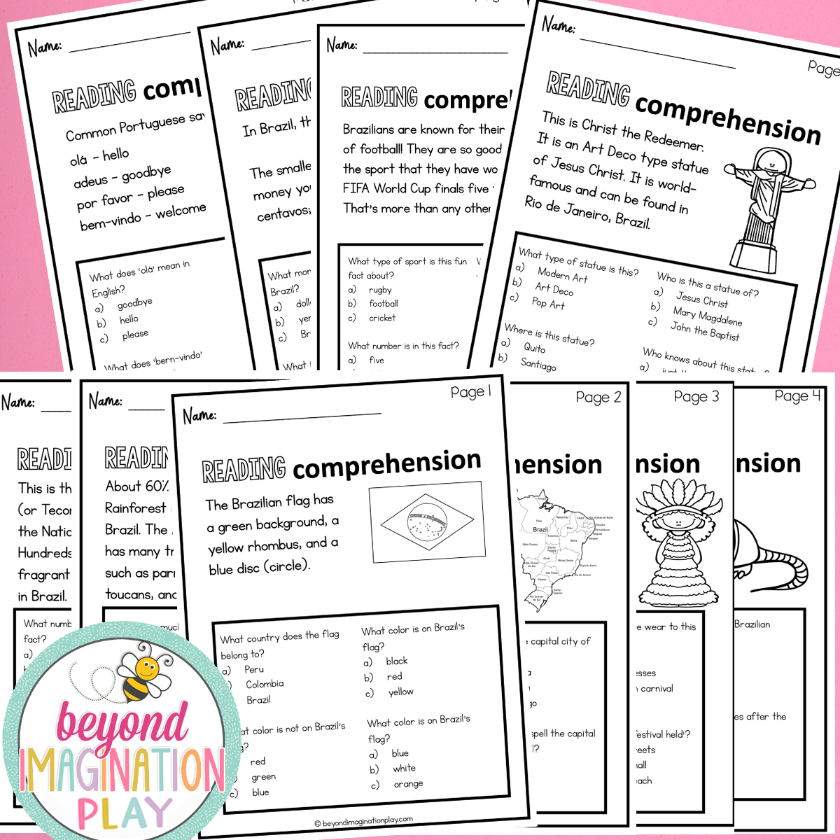 Brazil Country Study Activity Pack