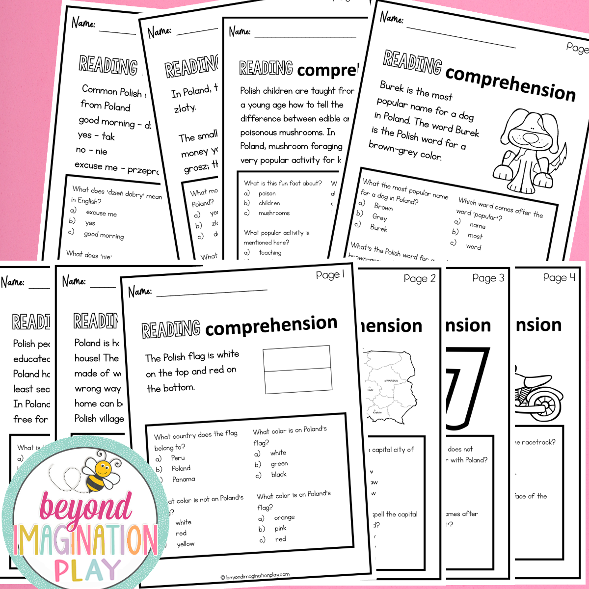 Poland Country Study Activity Pack