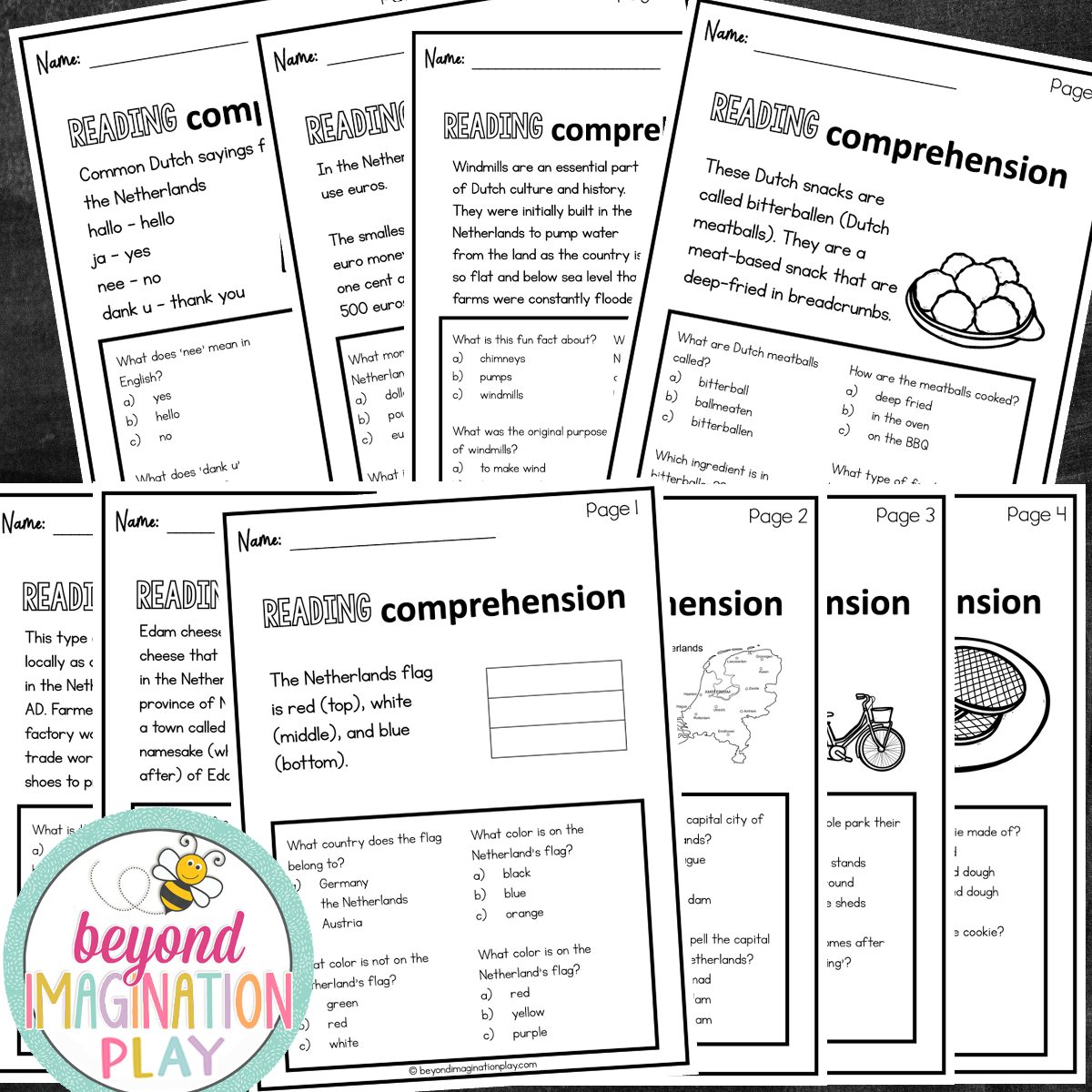 The Netherlands Country Study Activity Pack