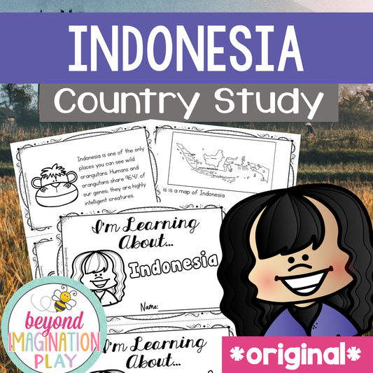 Indonesia Country Study