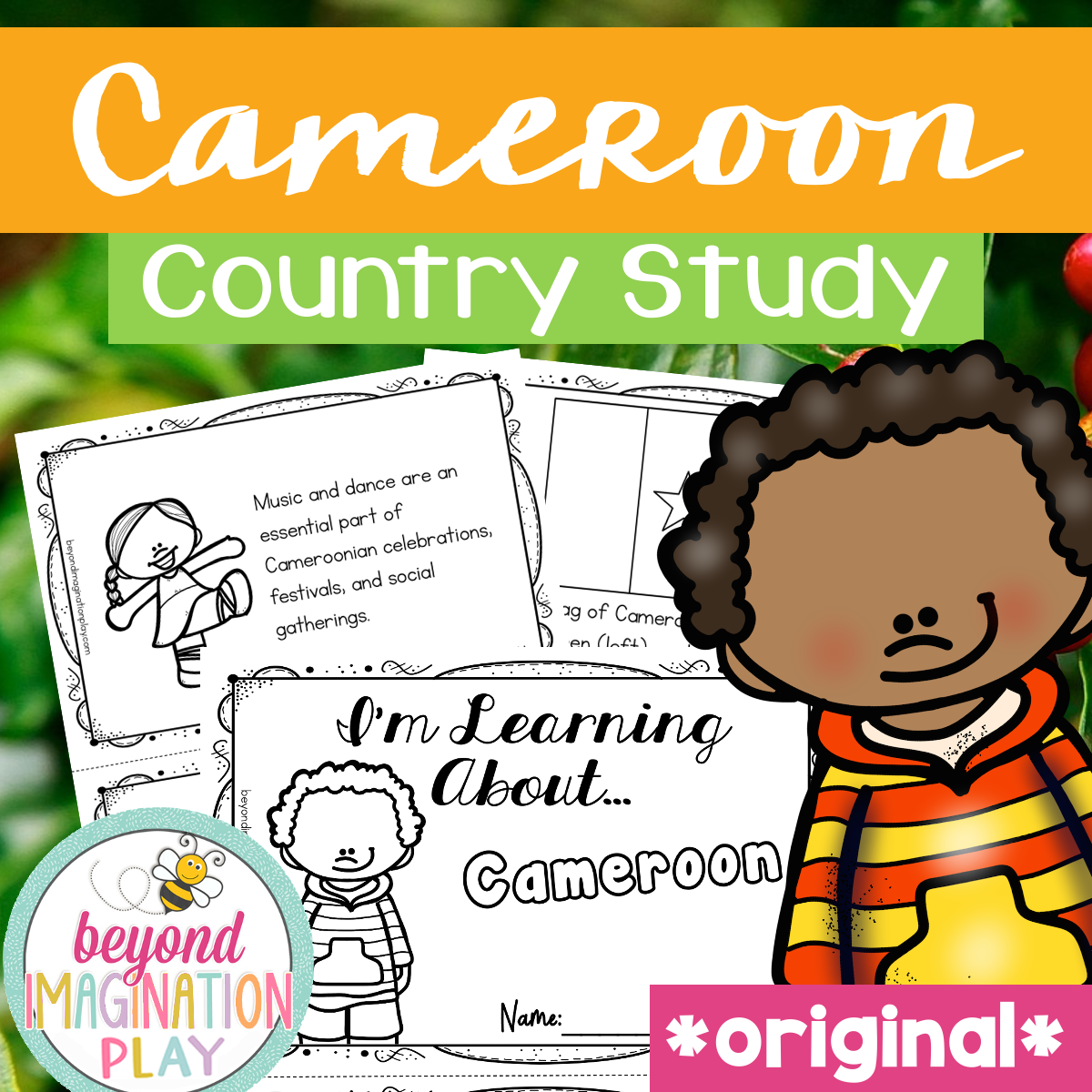 Cameroon Country Study