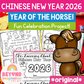 Chinese New Year 2026 Comprehension Pack