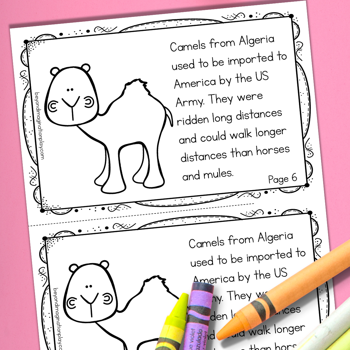 Algeria Country Study Activity Pack