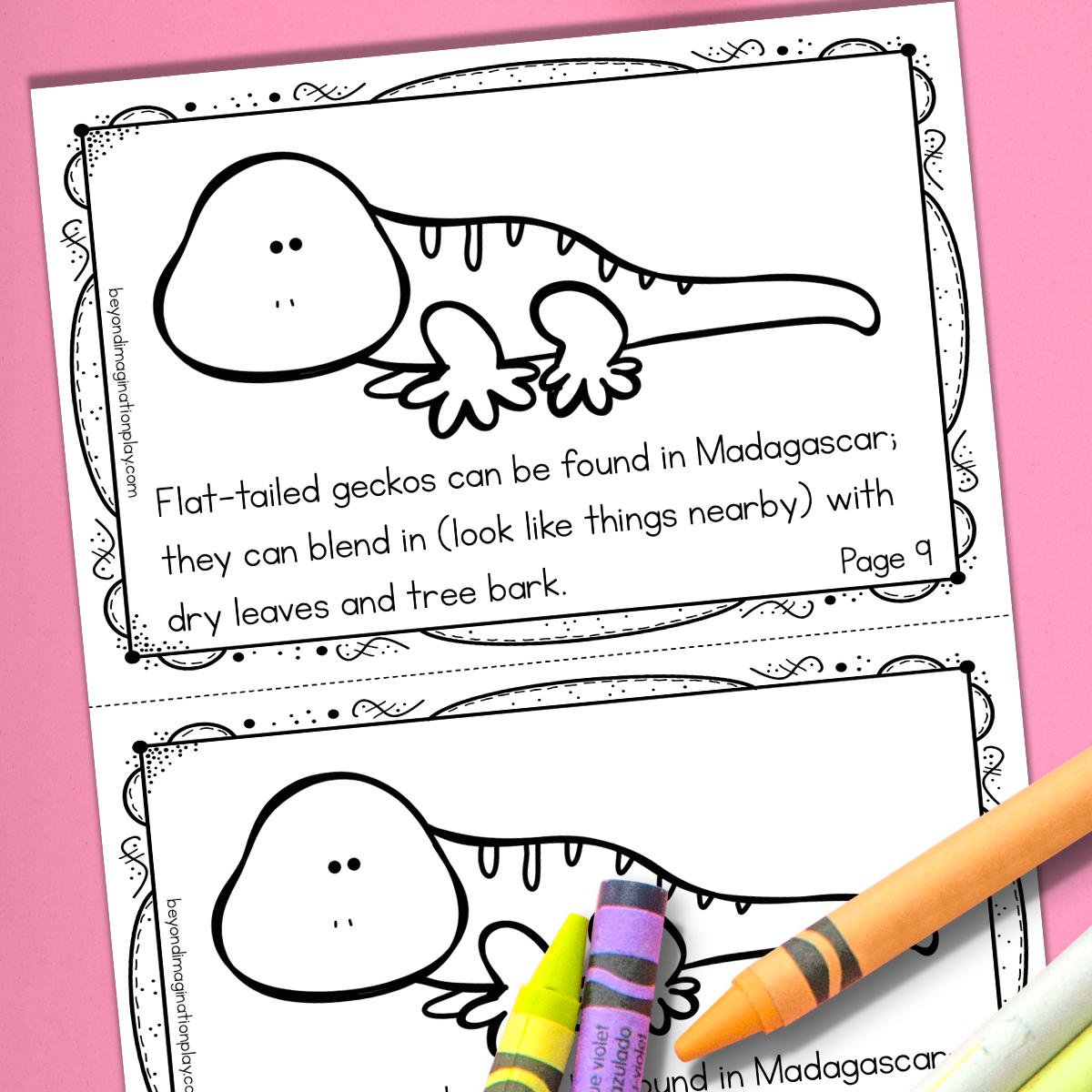 Madagascar Country Study Activity Pack
