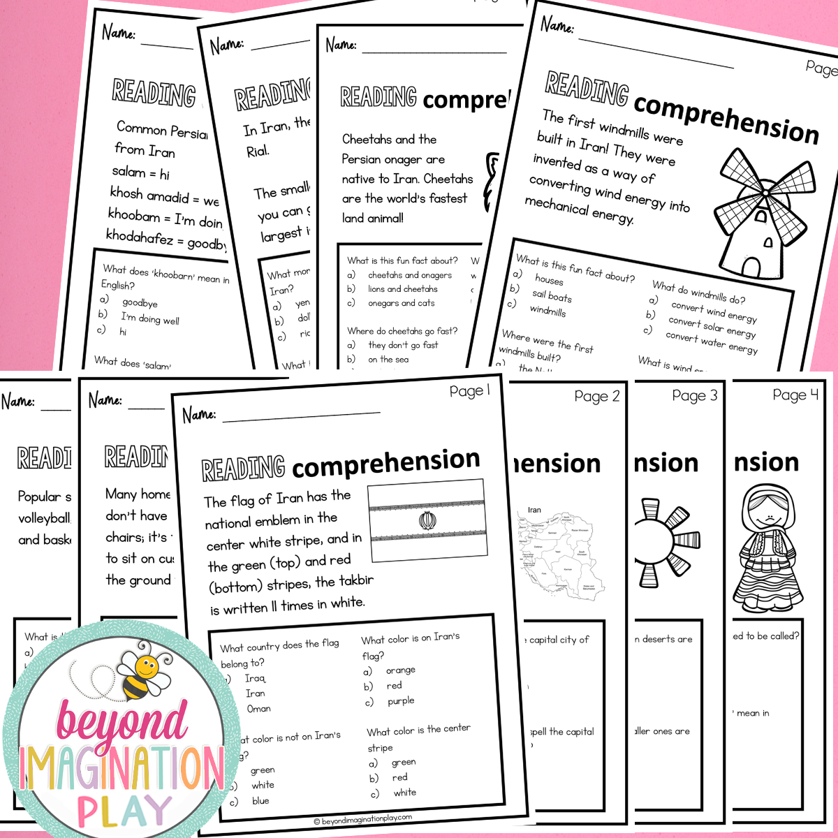 Iran Country Study Activity Pack