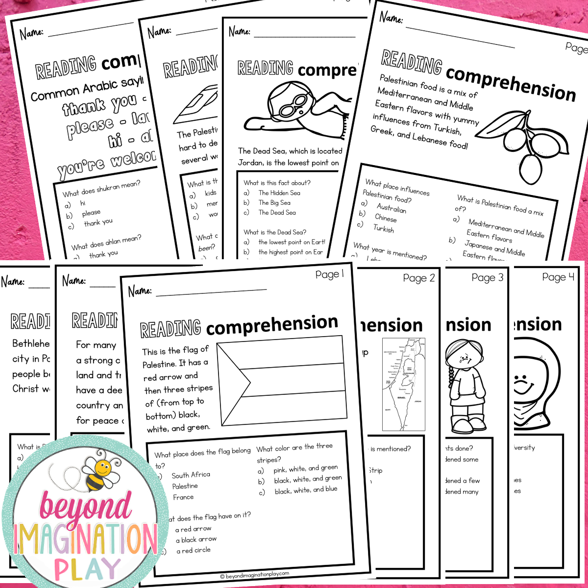 Palestine Country Study Activity Pack