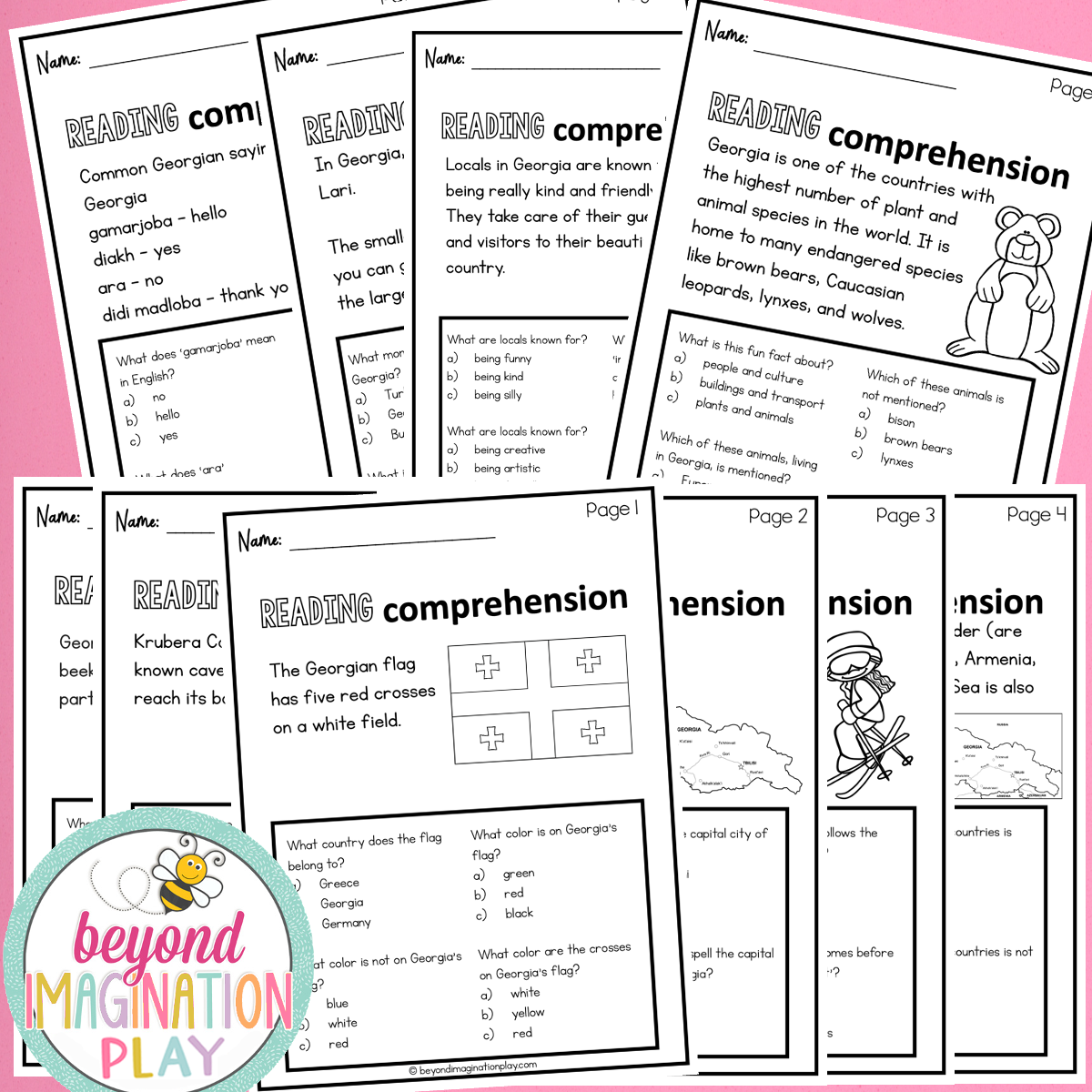 Georgia Country Study Activity Pack