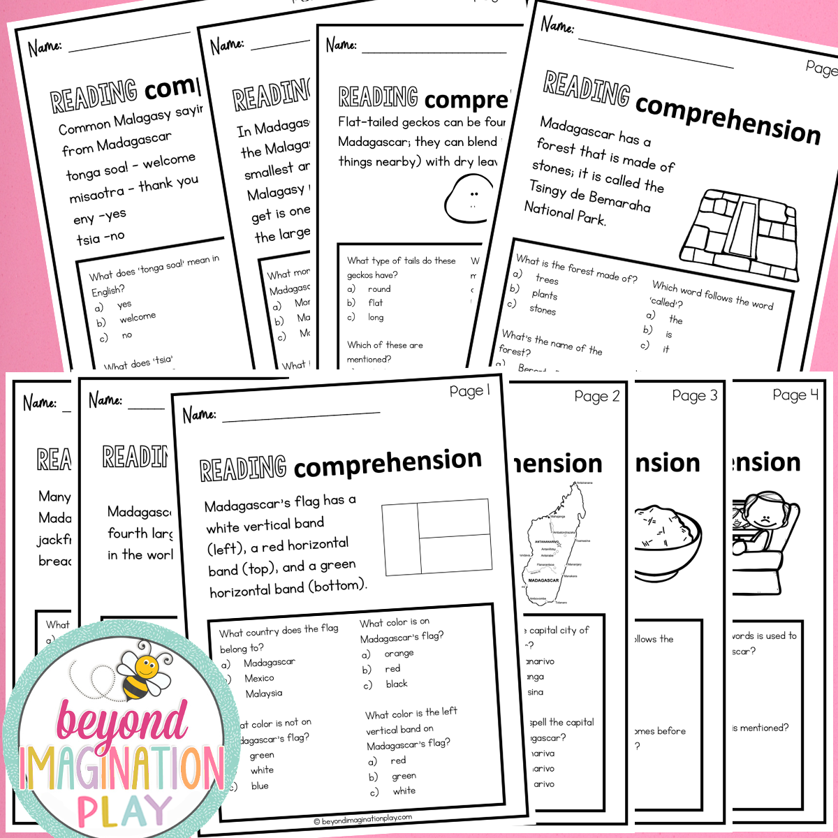 Madagascar Country Study Activity Pack