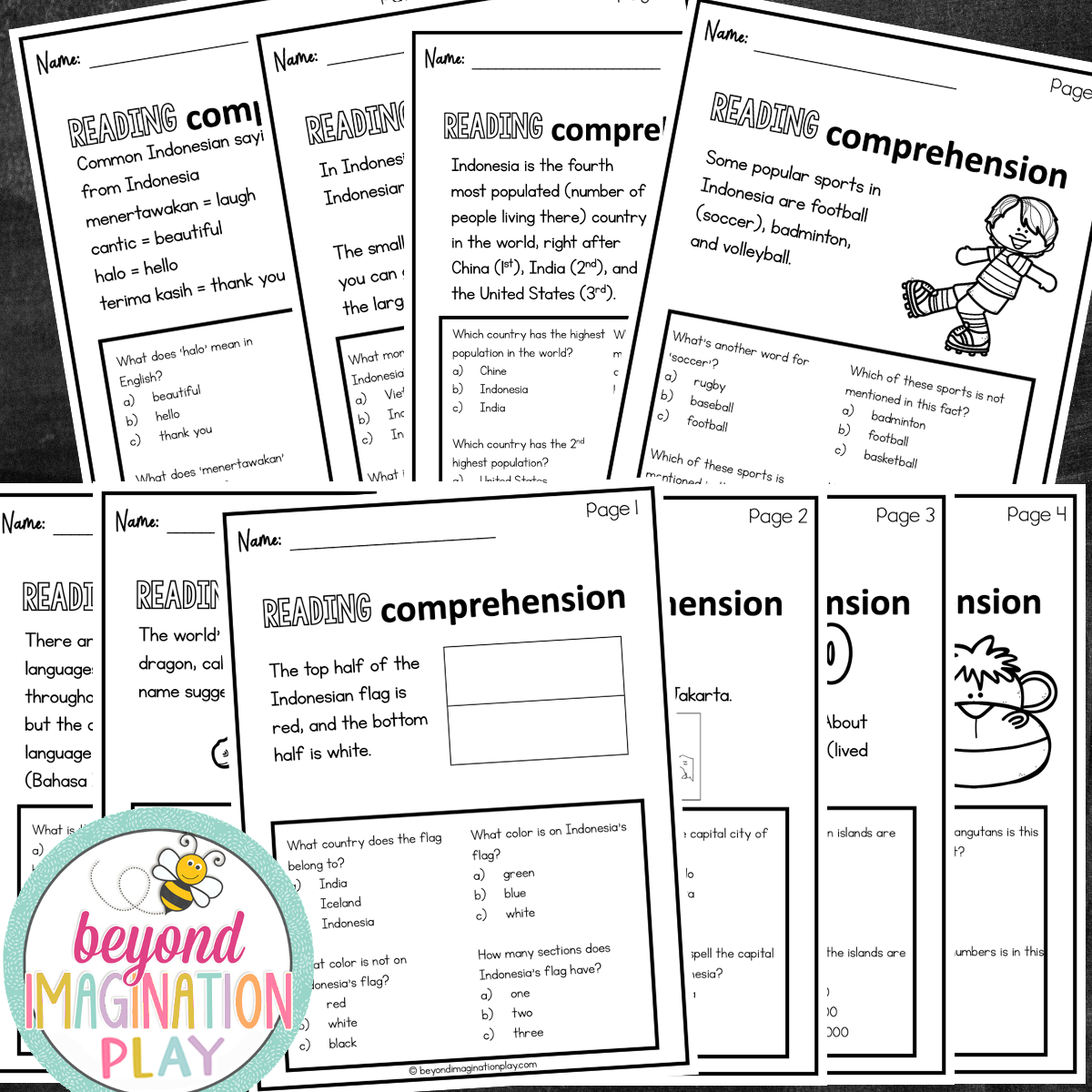 Indonesia Country Study Activity Pack