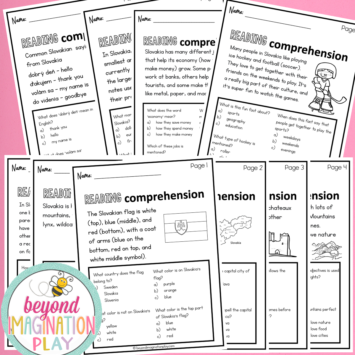 Slovakia Country Study Activity Pack