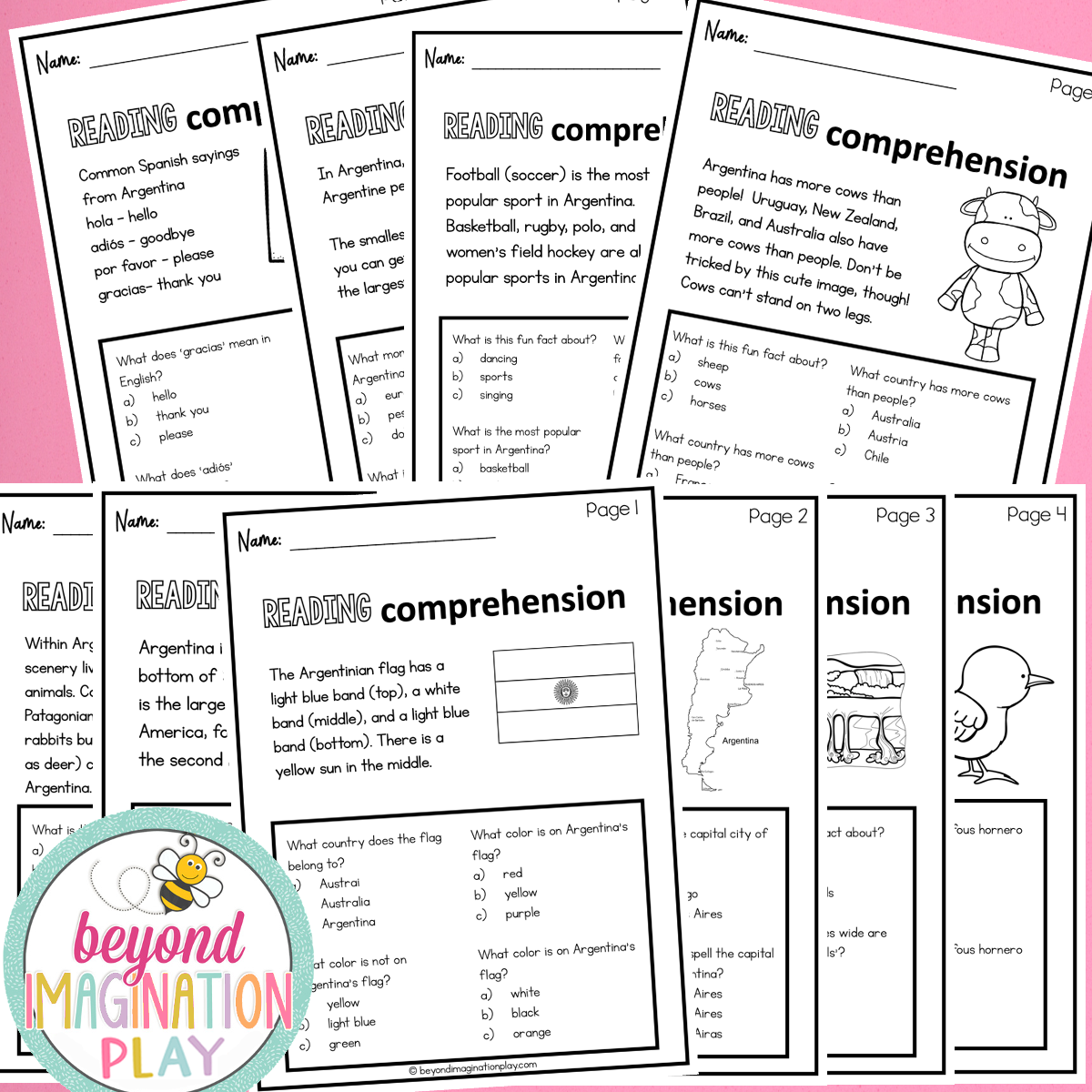 Argentina Country Study Activity Pack
