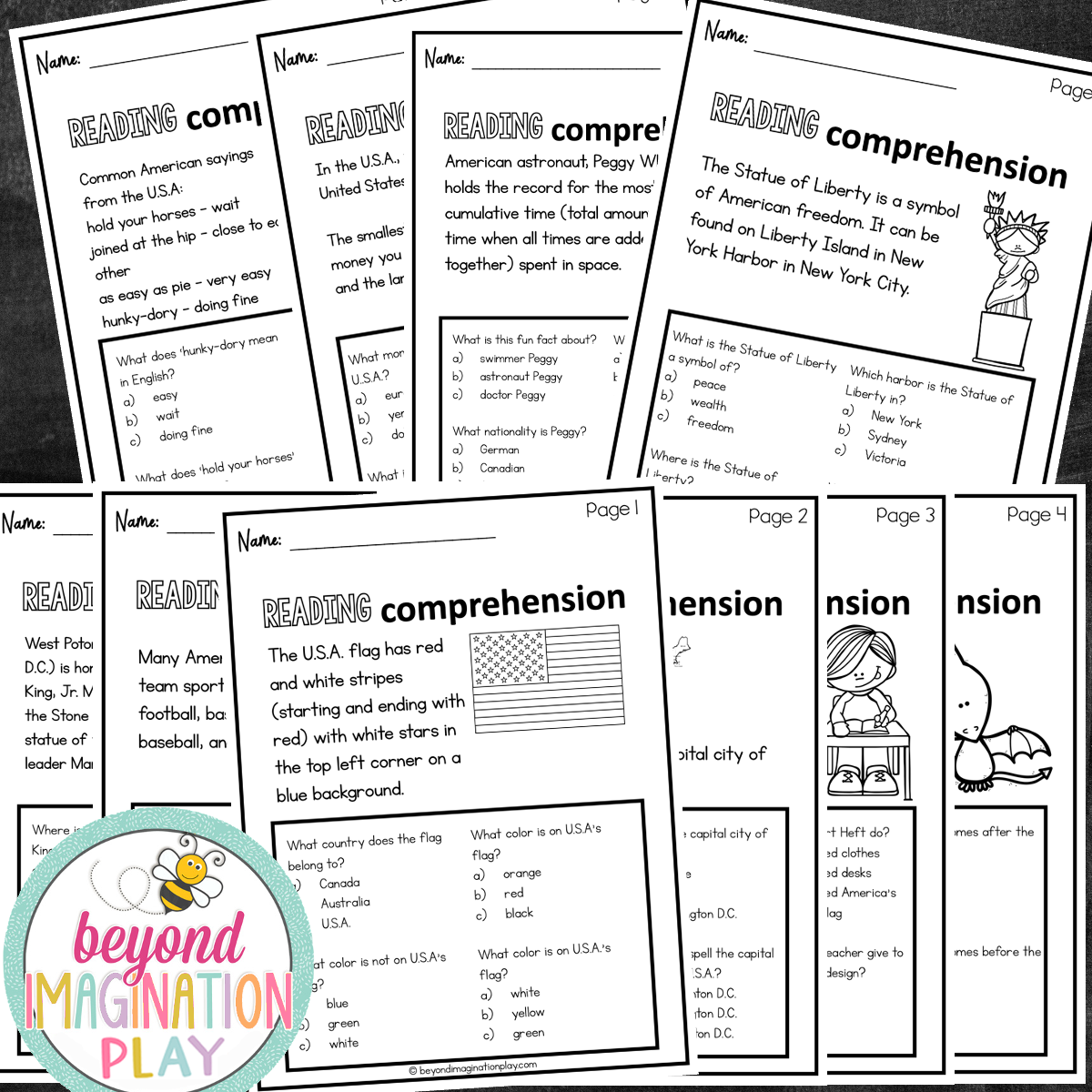 The USA Country Study Activity Pack