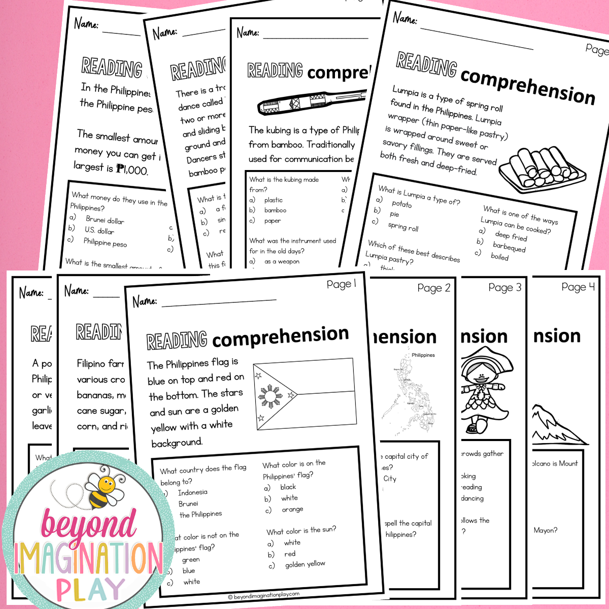 The Philippines Country Study Activity Pack